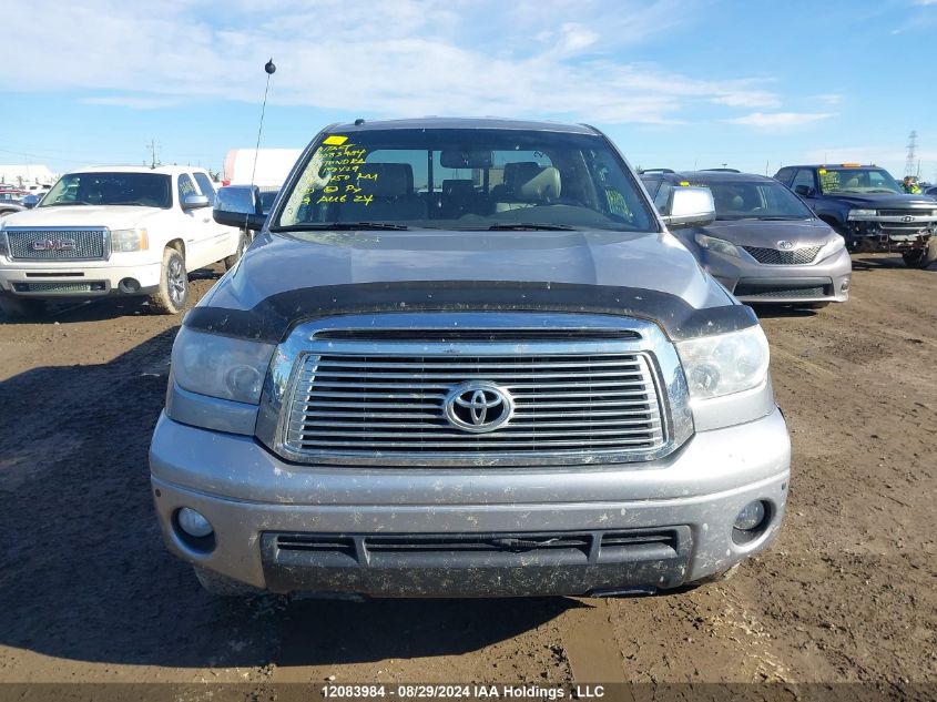 2010 Toyota Tundra Double Cab Limited VIN: 5TFBY5F1XAX150429 Lot: 12083984