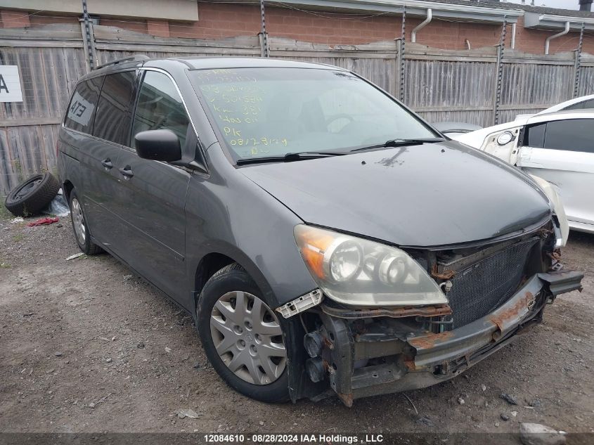 2008 Honda Odyssey VIN: 5FNRL38288B501589 Lot: 12084610