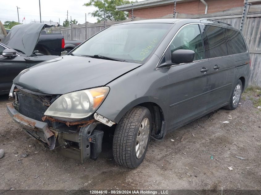 2008 Honda Odyssey VIN: 5FNRL38288B501589 Lot: 12084610