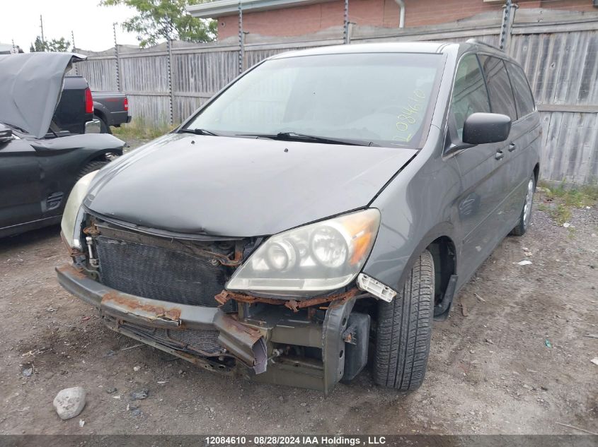 2008 Honda Odyssey VIN: 5FNRL38288B501589 Lot: 12084610