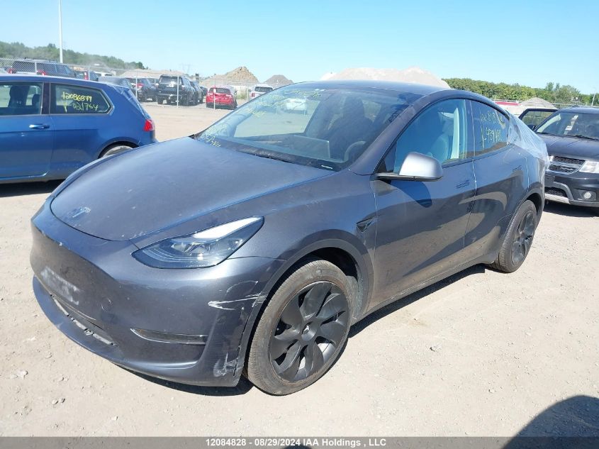 2023 Tesla Model Y VIN: LRWYGDFD7PC939488 Lot: 12084828