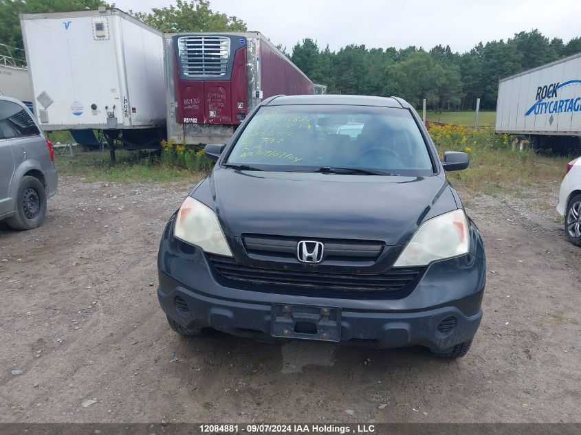 2008 Honda Cr-V VIN: 5J6RE383X8L800642 Lot: 12084881