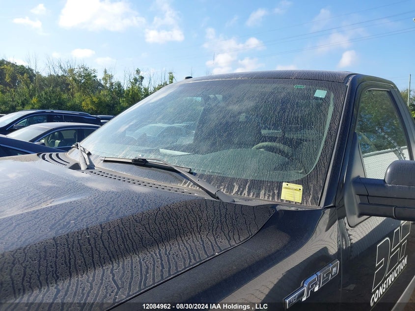 2010 Ford F-150 VIN: 1FTMF1C84AKC31416 Lot: 12084962