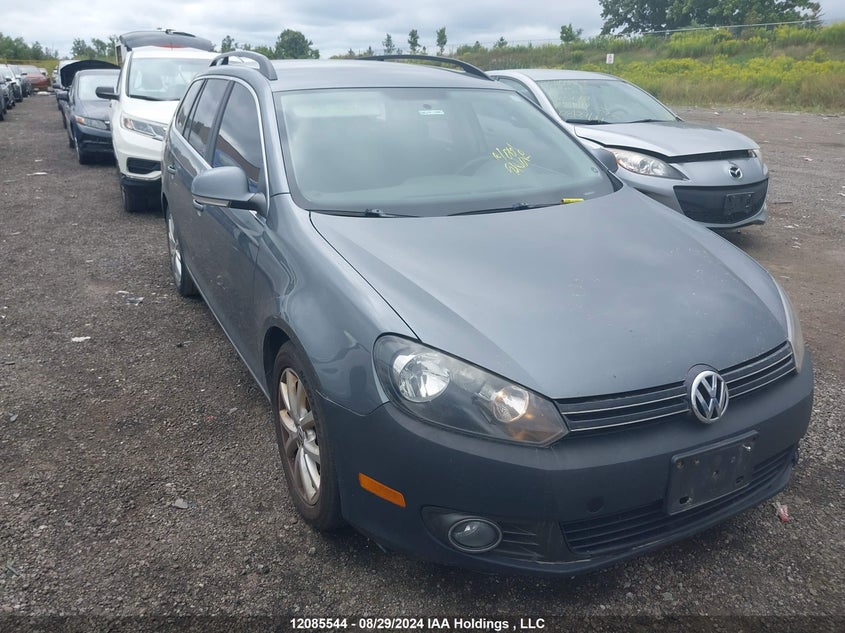 3VWPL7AJ6DM661490 2013 Volkswagen Golf auction photo 1
