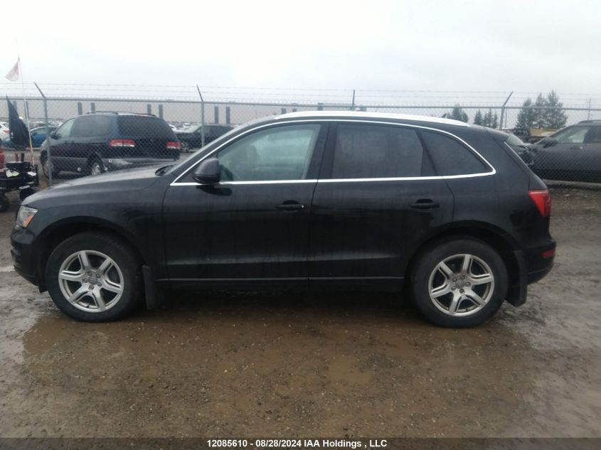 2012 Audi Q5 VIN: WA1LFCFP8CA039431 Lot: 12085610