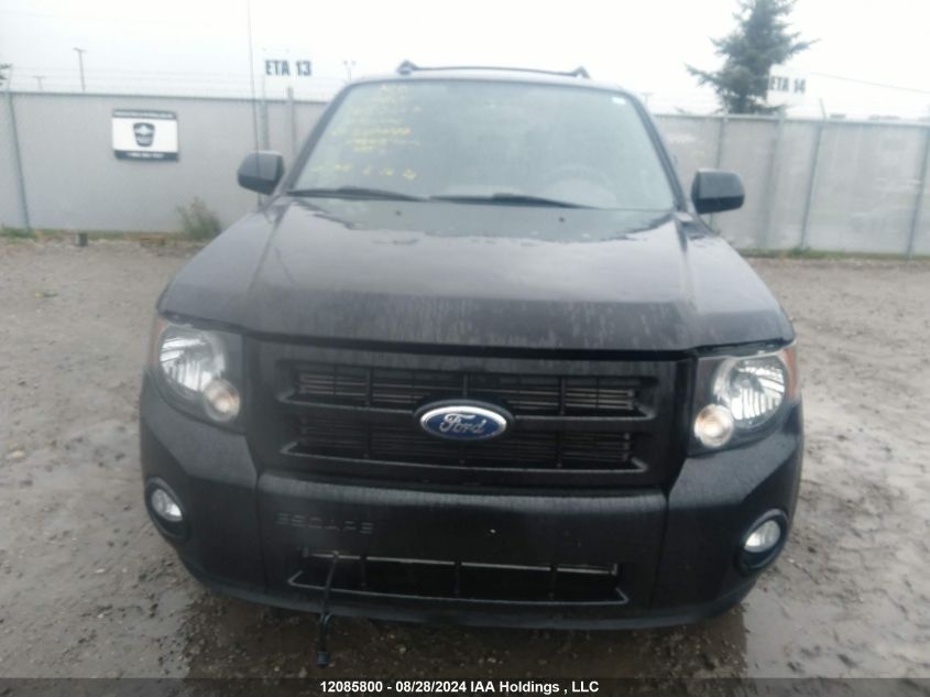 2011 Ford Escape Xlt VIN: 1FMCU9DG1BKB86647 Lot: 12085800