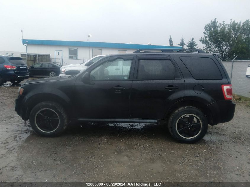 2011 Ford Escape Xlt VIN: 1FMCU9DG1BKB86647 Lot: 12085800