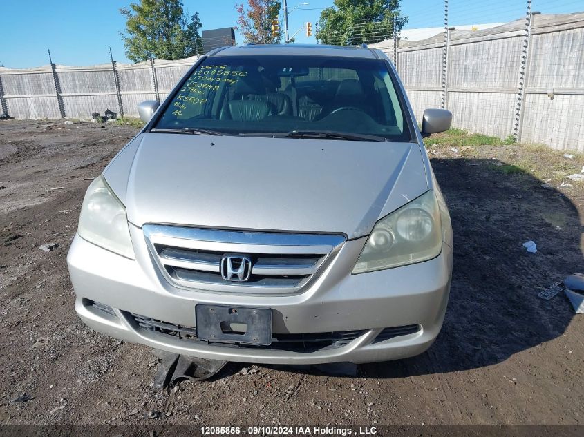 2007 Honda Odyssey VIN: 5FNRL38627B504148 Lot: 12085856