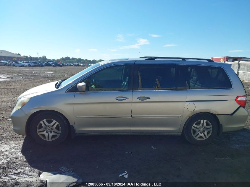 2007 Honda Odyssey VIN: 5FNRL38627B504148 Lot: 12085856