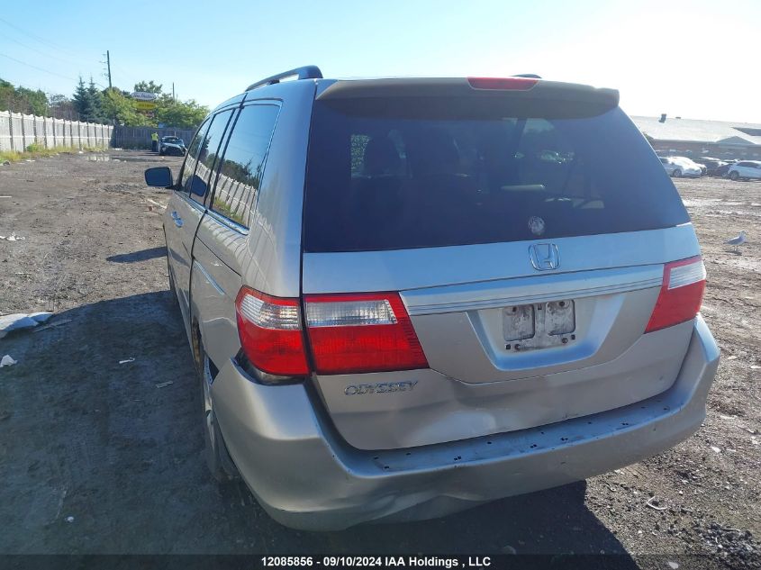 2007 Honda Odyssey VIN: 5FNRL38627B504148 Lot: 12085856