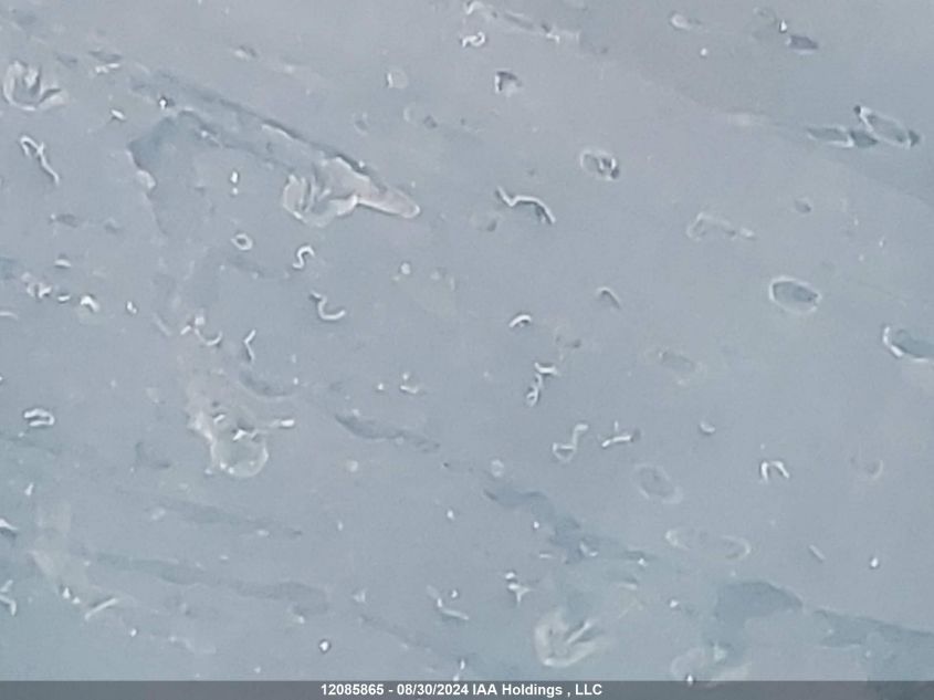 2007 BMW 3 Series VIN: WBAVA33537PV66924 Lot: 12085865