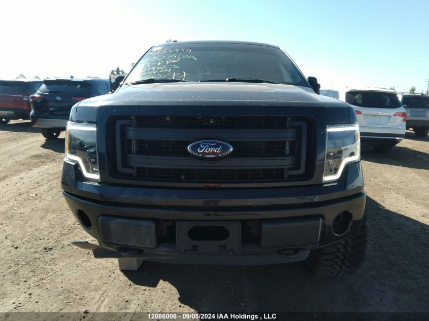 2013 Ford F150 Supercrew VIN: 1FTFW1EF4DKG14023 Lot: 12086006