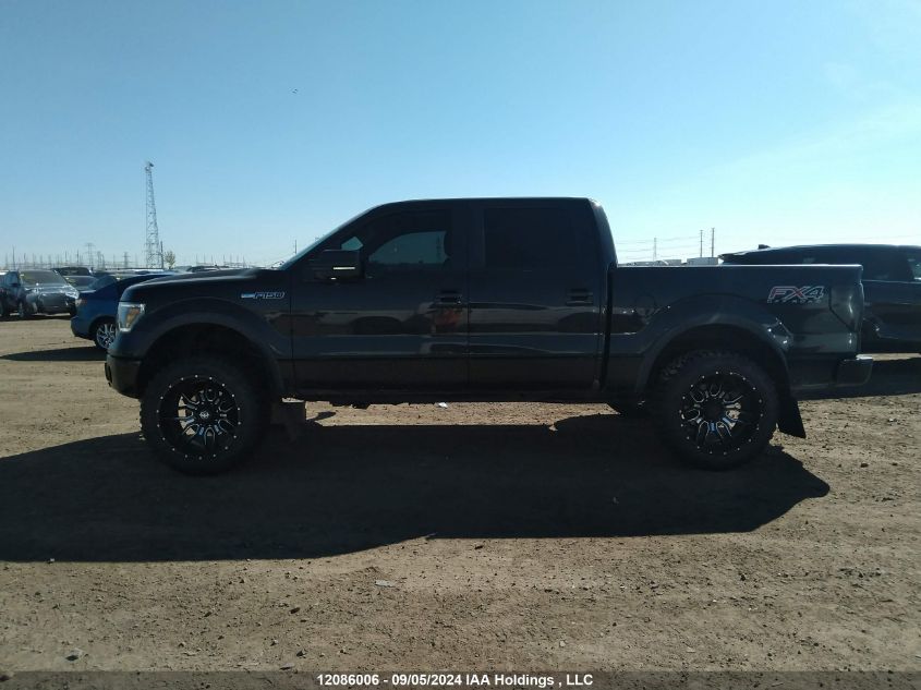 2013 Ford F150 Supercrew VIN: 1FTFW1EF4DKG14023 Lot: 12086006