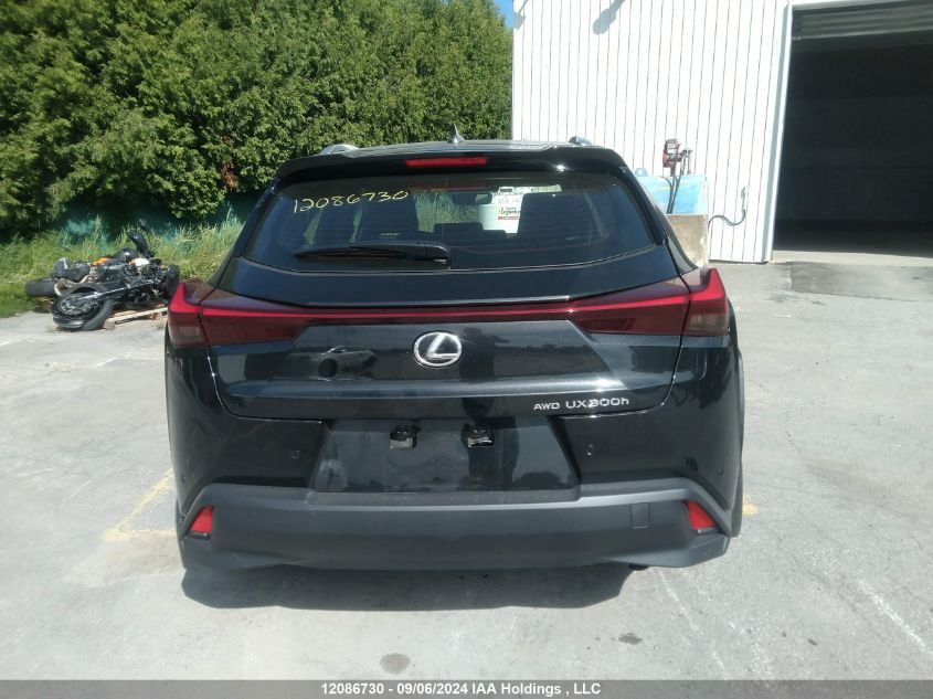 2025 Lexus Ux 300H VIN: JTHUCJDH1S2002053 Lot: 12086730