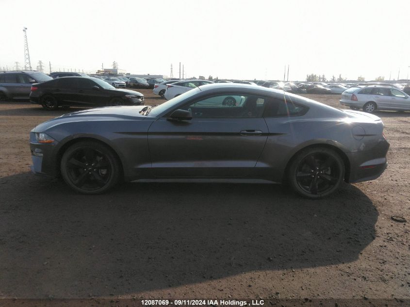 2021 Ford Mustang VIN: 1FA6P8TH8M5102912 Lot: 12087069