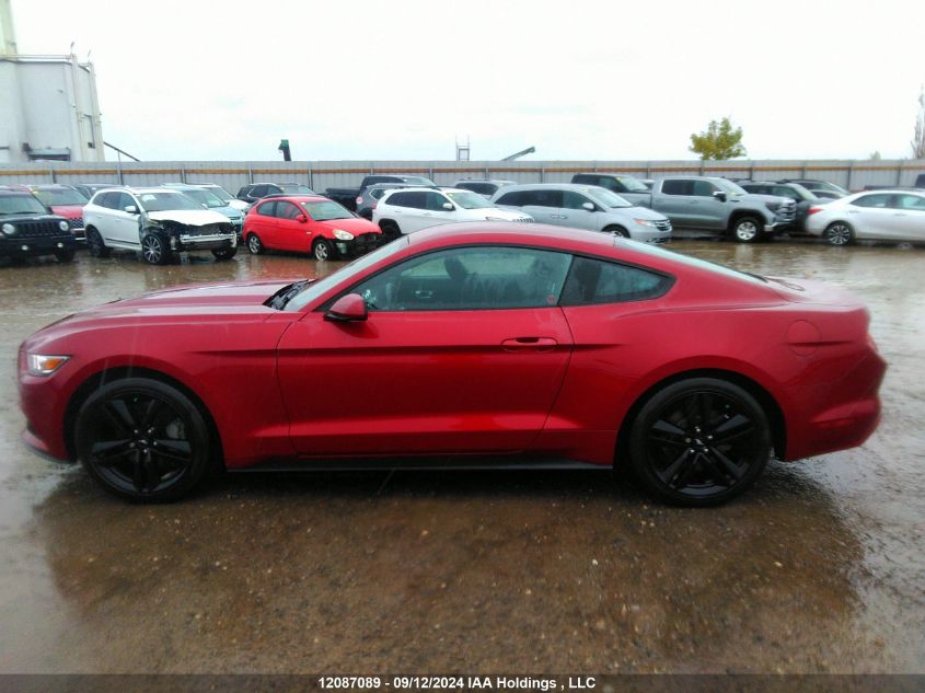 2017 Ford Mustang VIN: 1FA6P8TH7H5315002 Lot: 12087089