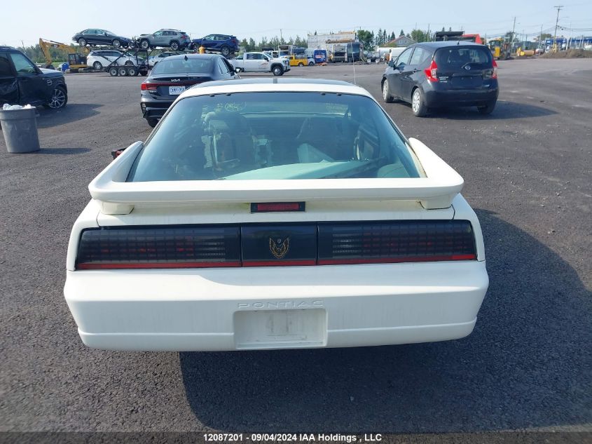 1987 Pontiac Firebird Trans Am VIN: 1G2FW218XHN241916 Lot: 12087201