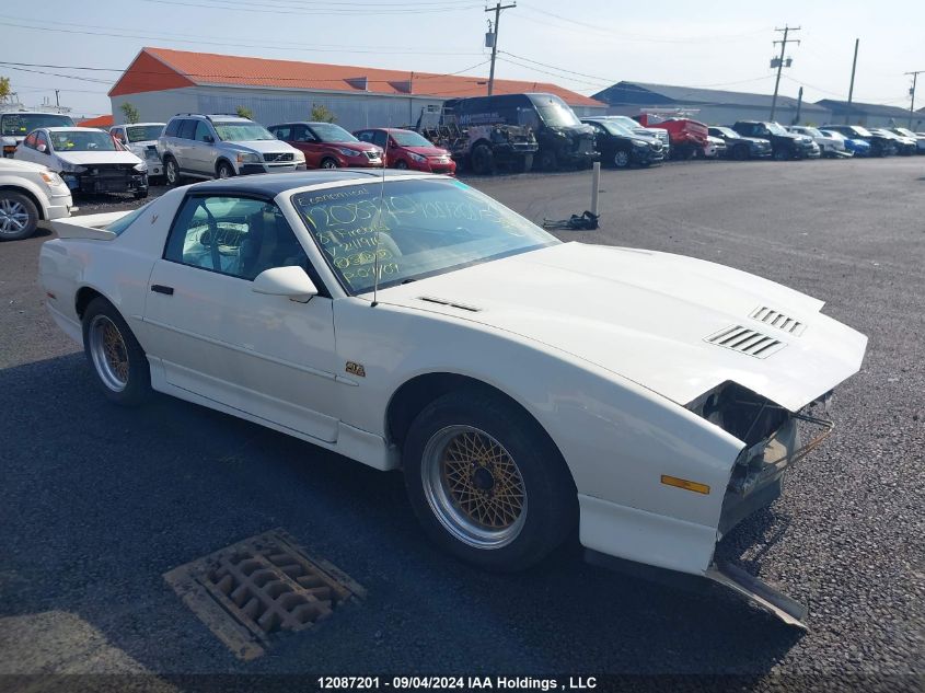 1987 Pontiac Firebird Trans Am VIN: 1G2FW218XHN241916 Lot: 12087201