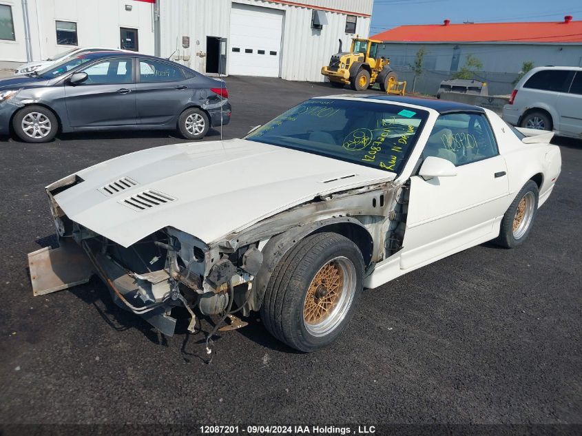 1987 Pontiac Firebird Trans Am VIN: 1G2FW218XHN241916 Lot: 12087201