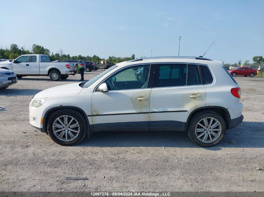 2010 Volkswagen Tiguan VIN: WVGBV7AX1AW510379 Lot: 12087278