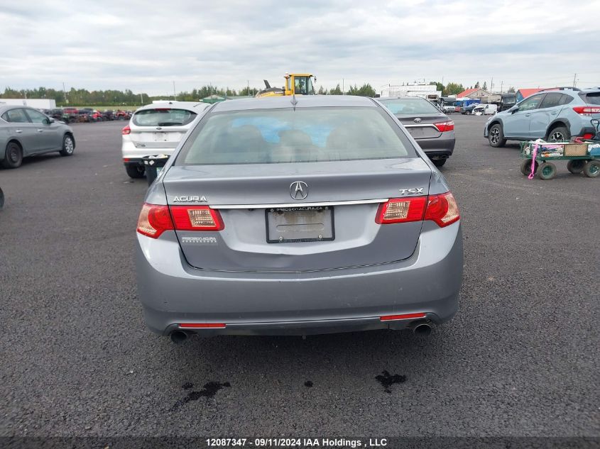 2011 Acura Tsx VIN: JH4CU2F62BC800484 Lot: 12087347