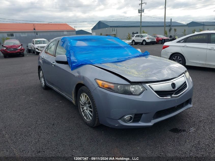 2011 Acura Tsx VIN: JH4CU2F62BC800484 Lot: 12087347