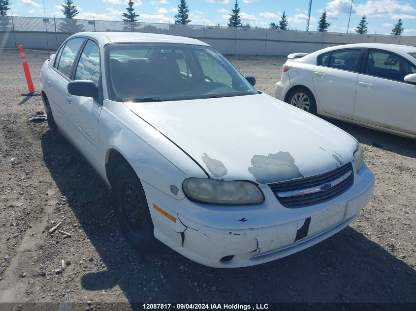 2002 Chevrolet Malibu VIN: 1G1ND52J92M695029 Lot: 12087817