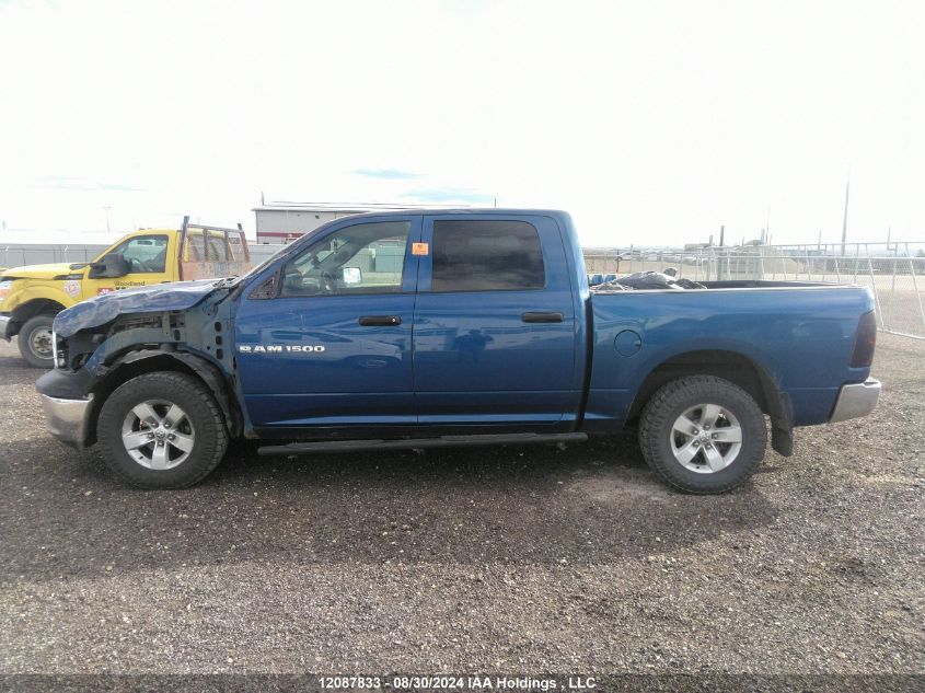 2011 Dodge Ram 1500 VIN: 1D7RV1CT3BS685127 Lot: 12087833