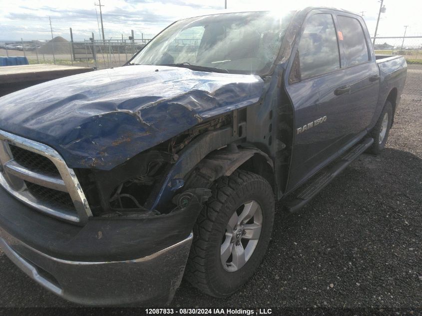 2011 Dodge Ram 1500 VIN: 1D7RV1CT3BS685127 Lot: 12087833