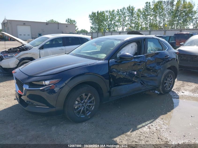 2024 Mazda Cx-30 VIN: 3MVDMBBM0RM620826 Lot: 12087880