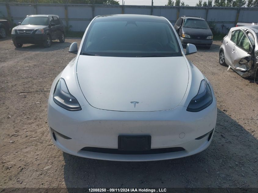 2023 Tesla Model Y VIN: 7SAYGDEE3PF774445 Lot: 12088250