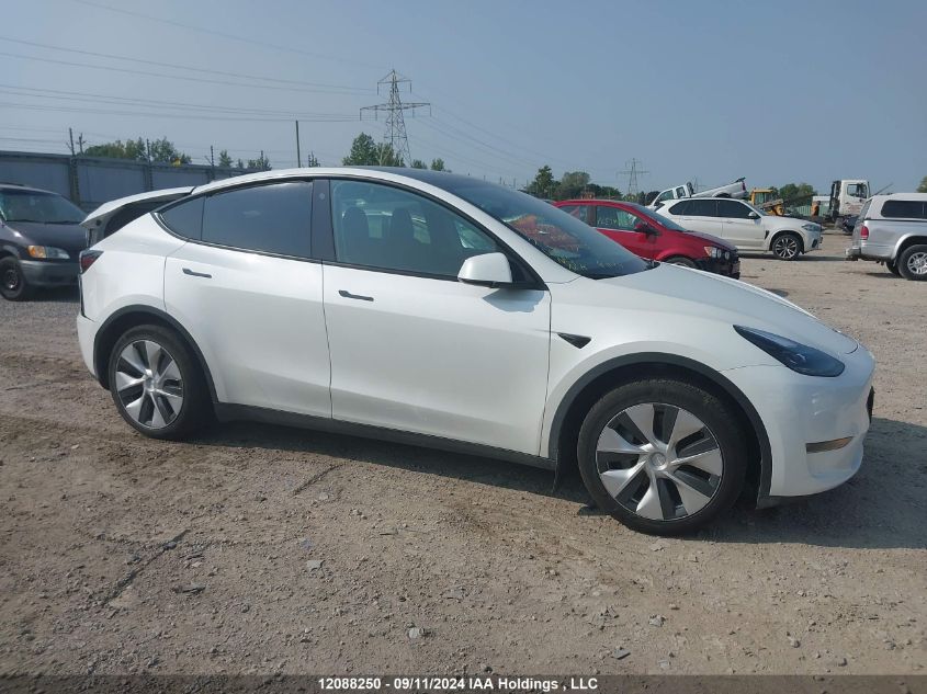 2023 Tesla Model Y VIN: 7SAYGDEE3PF774445 Lot: 12088250