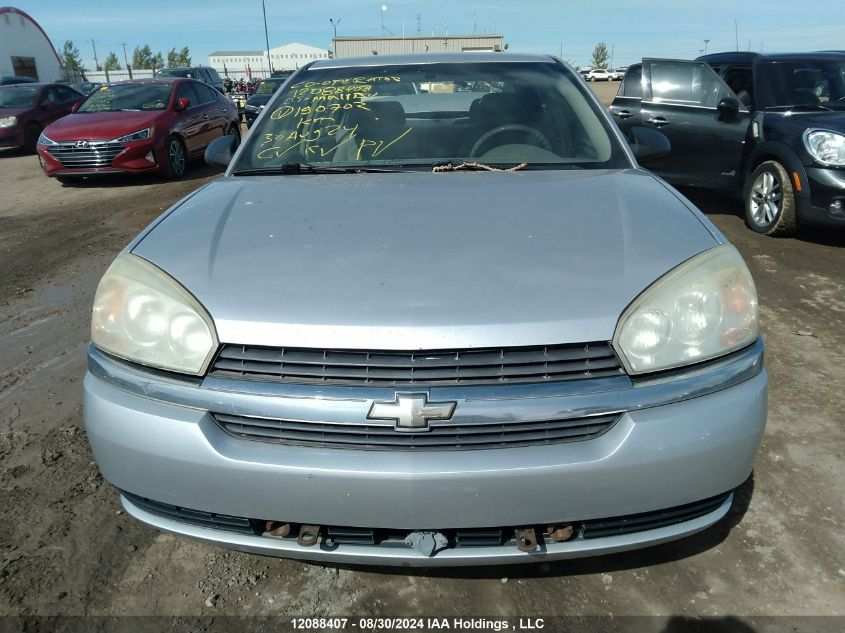 2005 Chevrolet Malibu VIN: 1G1ZT52895F190702 Lot: 12088407