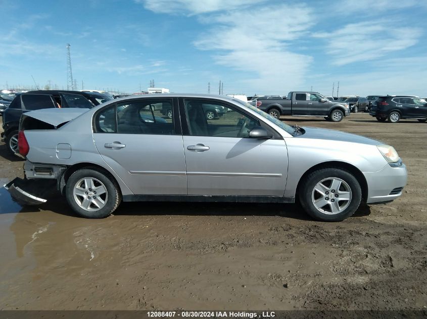 2005 Chevrolet Malibu VIN: 1G1ZT52895F190702 Lot: 12088407