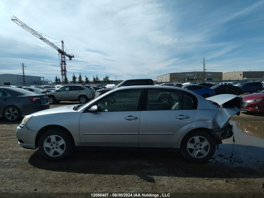 2005 Chevrolet Malibu VIN: 1G1ZT52895F190702 Lot: 12088407