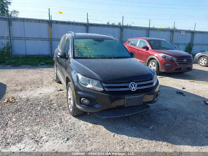 2012 Volkswagen Tiguan VIN: WVGBV7AX2CW504917 Lot: 12088481