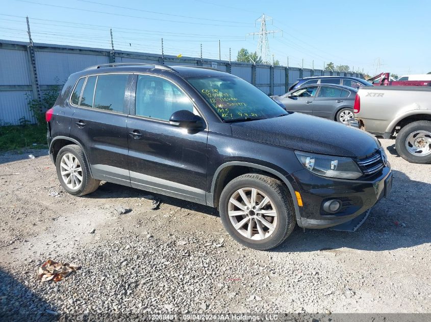 2012 Volkswagen Tiguan VIN: WVGBV7AX2CW504917 Lot: 12088481