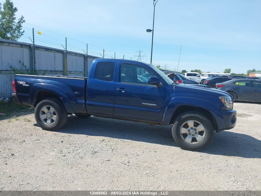 5TEUU42N07Z397290 2007 Toyota Tacoma