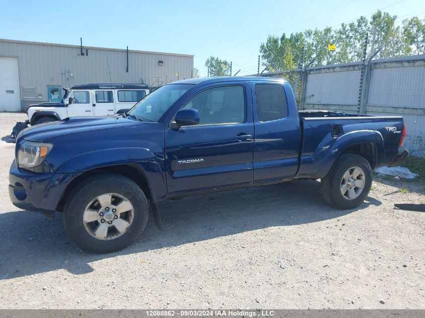 5TEUU42N07Z397290 2007 Toyota Tacoma