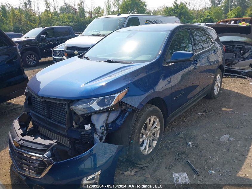 2020 Chevrolet Equinox VIN: 2GNAXTEV6L6196177 Lot: 12089264