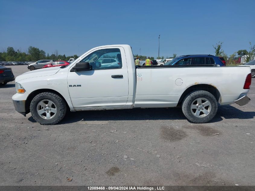 2010 Dodge Ram 1500 VIN: 3D7JB1EP3AG117584 Lot: 12089468