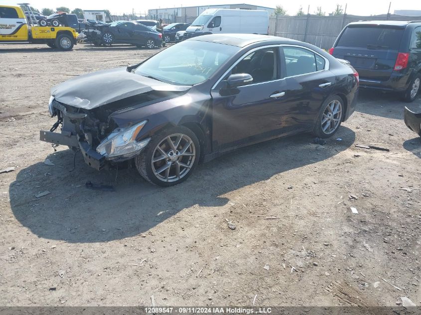 2010 Nissan Maxima 3.5 Sv VIN: 1N4AA5AP6AC831504 Lot: 12089547