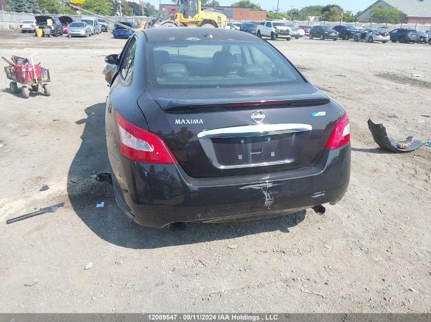 2010 Nissan Maxima 3.5 Sv VIN: 1N4AA5AP6AC831504 Lot: 12089547