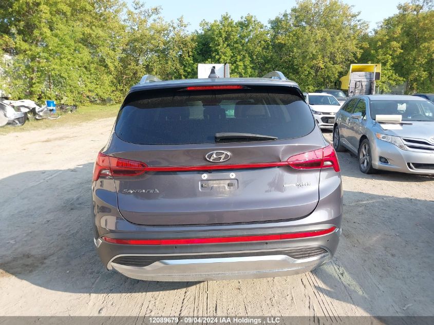 2022 Hyundai Santa Fe Limited VIN: KM8S5DA17NU036286 Lot: 12089679