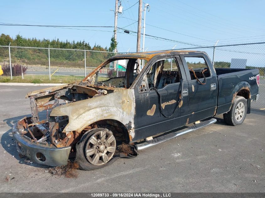 2009 Ford F150 Supercrew VIN: 1FTPW14V19FB23812 Lot: 12089733