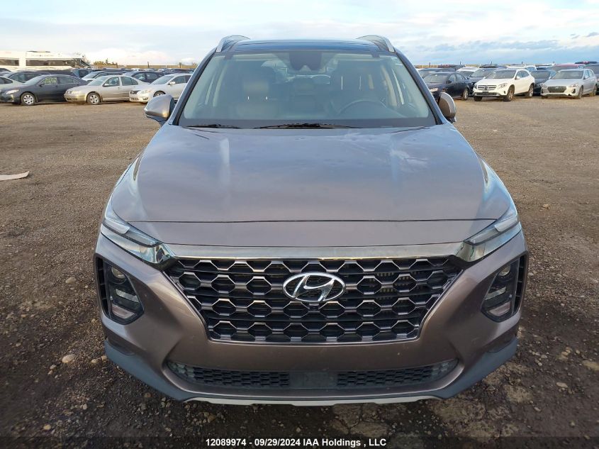 2020 Hyundai Santa Fe Sel/Sel Plus VIN: 5NMS3CAA9LH203823 Lot: 12089974