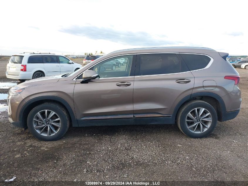 2020 Hyundai Santa Fe Sel/Sel Plus VIN: 5NMS3CAA9LH203823 Lot: 12089974