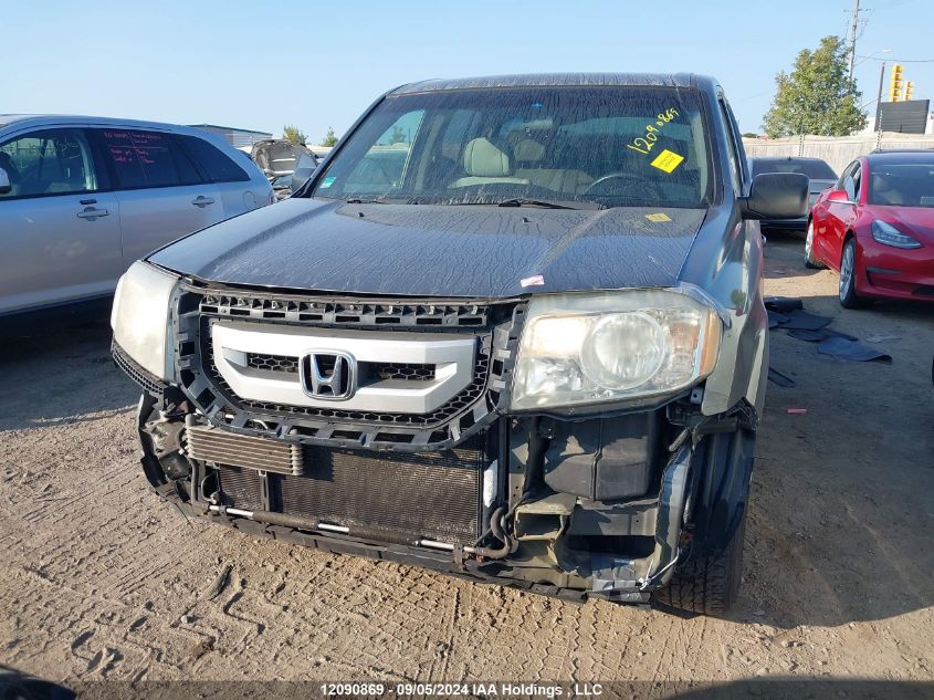 5FNYF48249B028364 2009 Honda Pilot