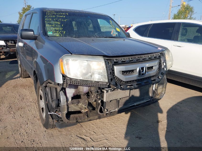 5FNYF48249B028364 2009 Honda Pilot