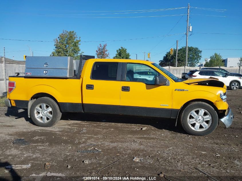 2011 Ford F-150 Xlt VIN: 1FTFW1CT5BKD98804 Lot: 12091074